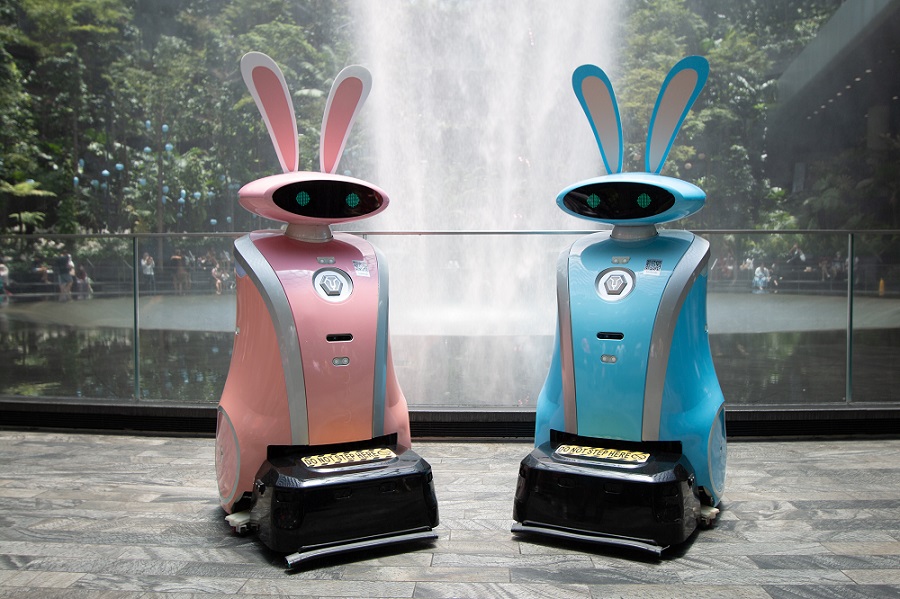 Joy and Jemie the mop robots